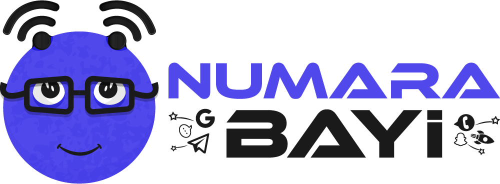 Numara Bayi Logo